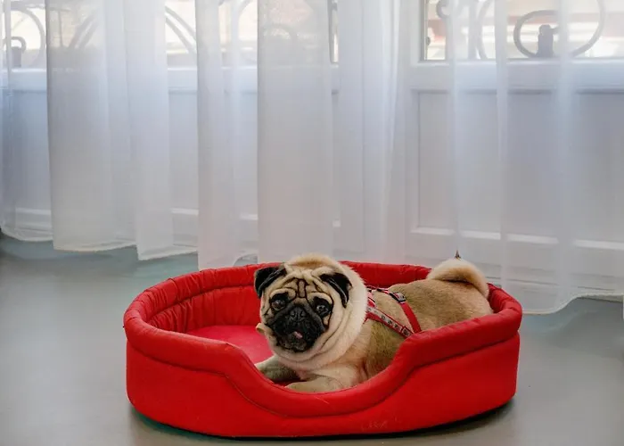 Colors Ladadika Thessalonique